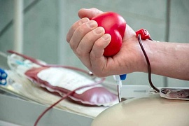 В РФ за три года в донорских акциях приняли участие 1,5 млн человек